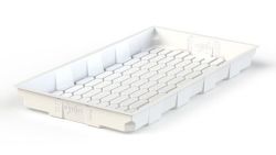 3' x 6' White XTray