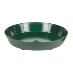 Premium Green Saucer, 8"