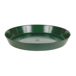 Premium Green Saucer, 14"