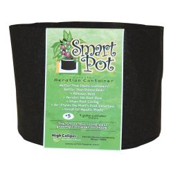 Smart Pot, #3, 10"