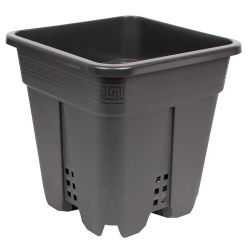 Square Premium Black Pot, 12" x 12" x 12"