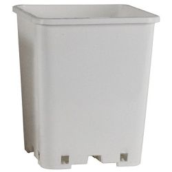 Square White Pot, 7" x 7" x 9"