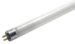 InterLuxy T5 4' ft Bloom Bulb 3000K