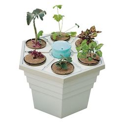 General Hydroponics RainForest 66, 6 Site