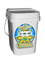 Big Up Powder - 10 lb. - Humboldt Nutrients