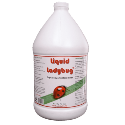 Liquid Ladybug V half Gallong