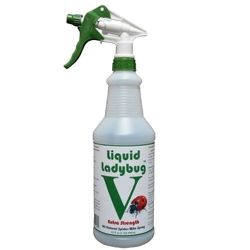 Liquid Ladybug V 32oz Bottle RTU
