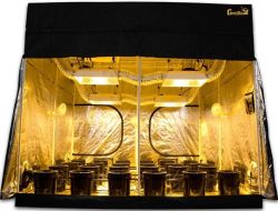 Mega Mortgage Lifter 3.0 - 52 Plant Hydroponics Grow Tent