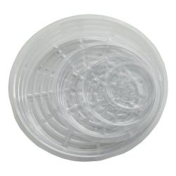 6" Saucers